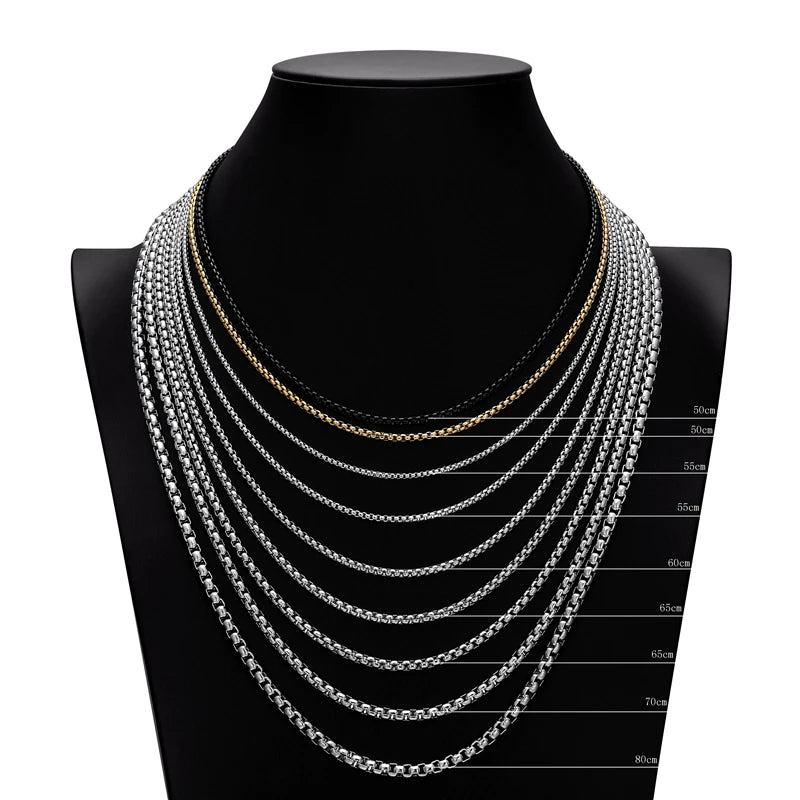 PENDRA Chain Black Necklace