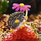 PENDRA Meadow Hedgehog Enamel Animal Brooch