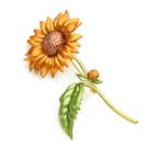 PENDRA Solara New Enamel Sunflower Brooch