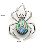 PENDRA Abalone Spider Insect Brooch