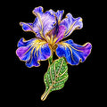 PENDRA Iris 4-Color Enamel Rhinestone Flower Brooch