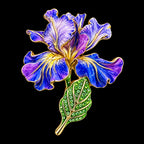 PENDRA Iris 4-Color Enamel Rhinestone Flower Brooch