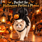 Funny Halloween Cat Dog Costume Headless Horseman Rider Pet Outfit for Small Dogs Cats Pumpkin Party Cosplay