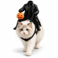 Funny Halloween Cat Dog Costume Headless Horseman Rider Pet Outfit for Small Dogs Cats Pumpkin Party Cosplay