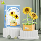 PENDRA Succulent Potted Floral Building Set
