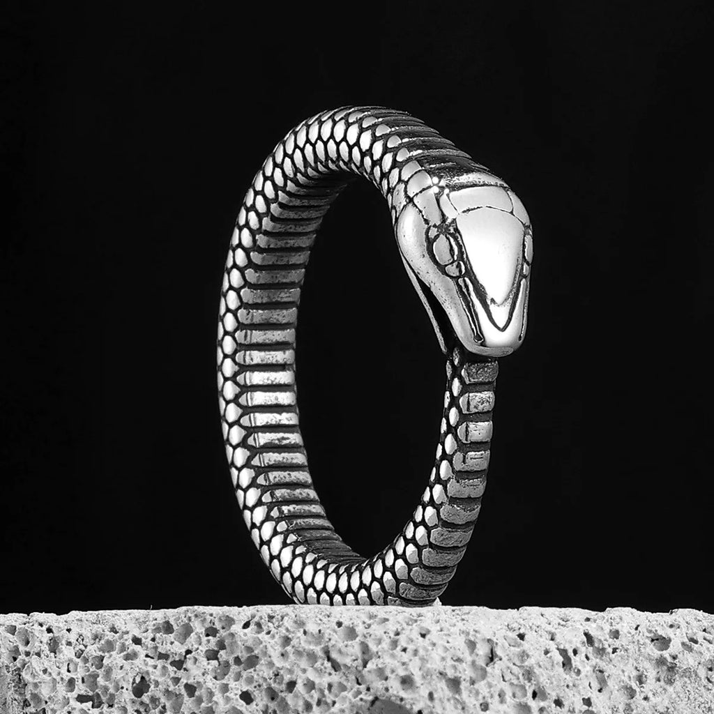 PENDRA Snake Animal Ouroboros Steel Ring
