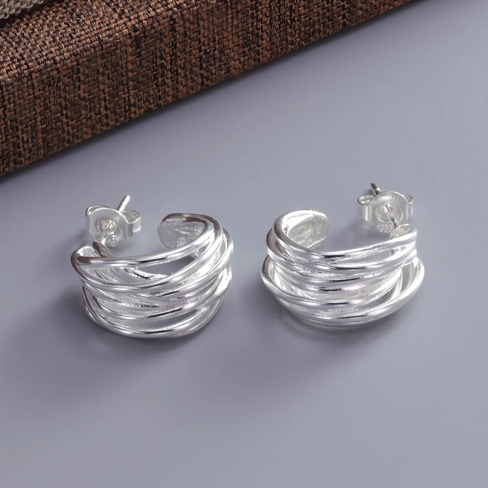 VENTFILLE 925 Sterling Silve Geometry Hoop Earring for Women Frosting Classic Minimalist Versatile Wide Jewelry Gift Dropship