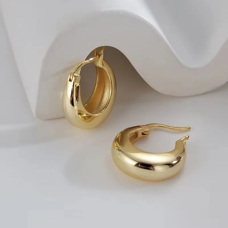 VENTFILLE 925 Sterling Silve Geometry Hoop Earring for Women Frosting Classic Minimalist Versatile Wide Jewelry Gift Dropship