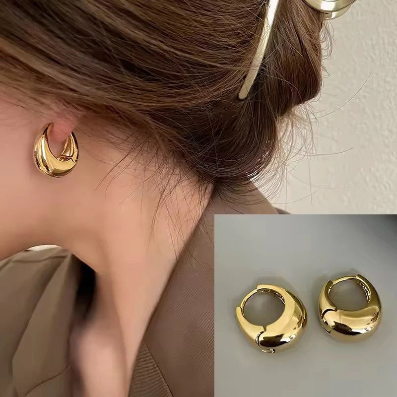 VENTFILLE 925 Sterling Silver Diamond Studded Hoop Earrings for Women Ear Buckle Circle Trendy Jewelry Gift Dropshipping