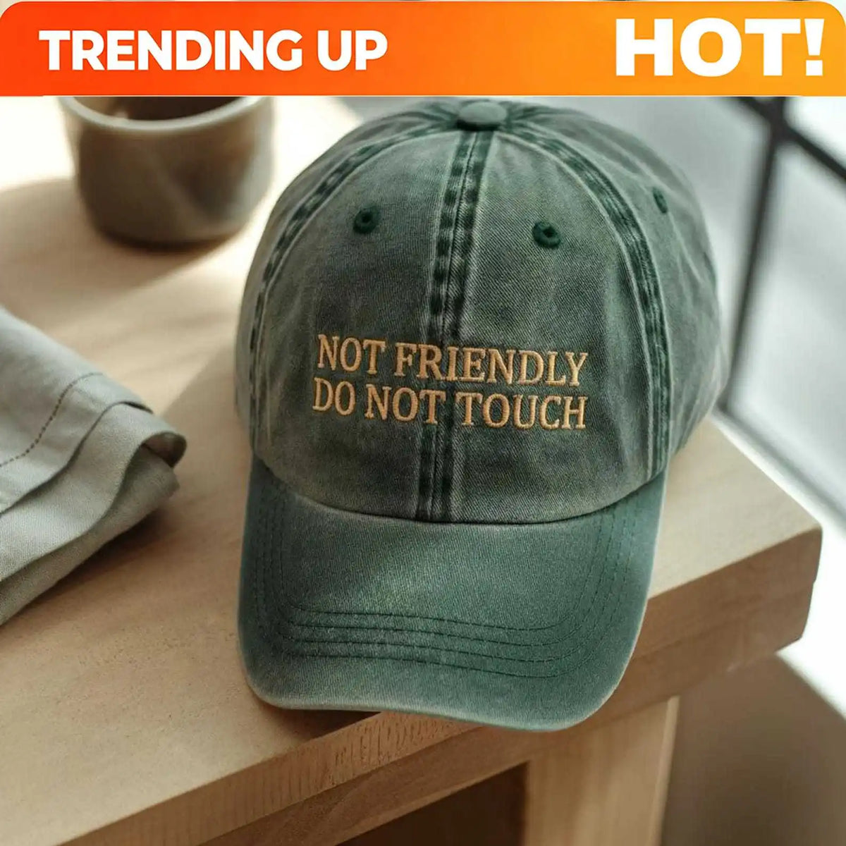 PENDRA Embroidered Not Friendly Hat