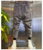 Men's Winter Pants Korean Streetwear Fleece Warm Designer Drawstring Brushed Cargo MEN FASHION Baggy Harem Jeans Pants Male
