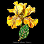 PENDRA Iris 4-Color Enamel Rhinestone Flower Brooch