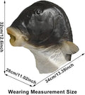 Funny Fish Latex Mask Halloween Costume Realistic Carp Head Mask for Party Cosplay Masquerade
