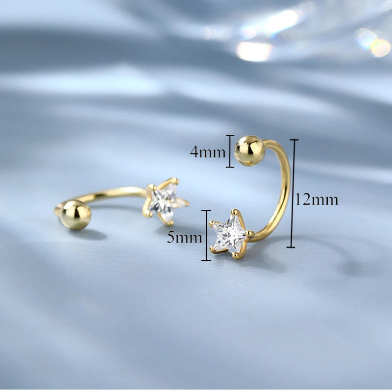 PENDRA Sterling Silver 19 Earrings