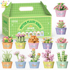PENDRA Succulent Potted Floral Building Set