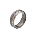 PENDRA Runeband Simple Viking Rune Ring