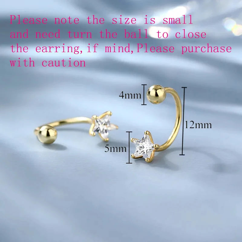 PENDRA Sterling Silver 19 Earrings