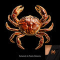 PENDRA Coral Crab Animal Brooch