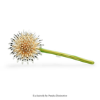 PENDRA Dandelia Green Enamel Dandelion Brooch