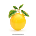 PENDRA Lemonelle Enamel Yellow Lemon Brooch
