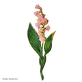 PENDRA Liliana Elegant Enamel Lily Flower Brooch