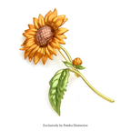 PENDRA Solara New Enamel Sunflower Brooch