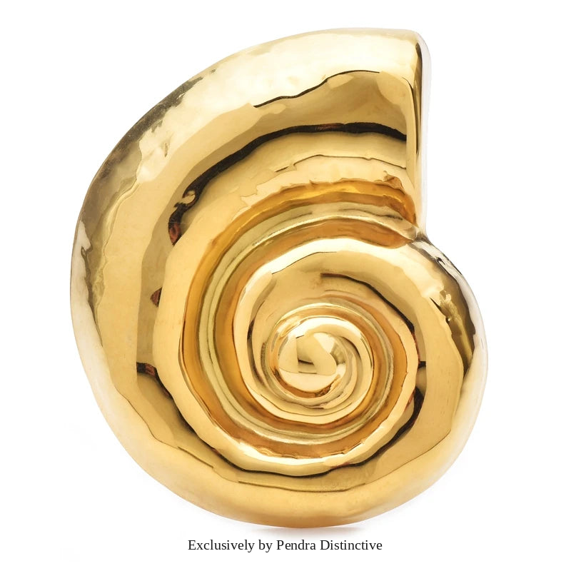 PENDRA Spiral Shell Stainless Steel Brooch