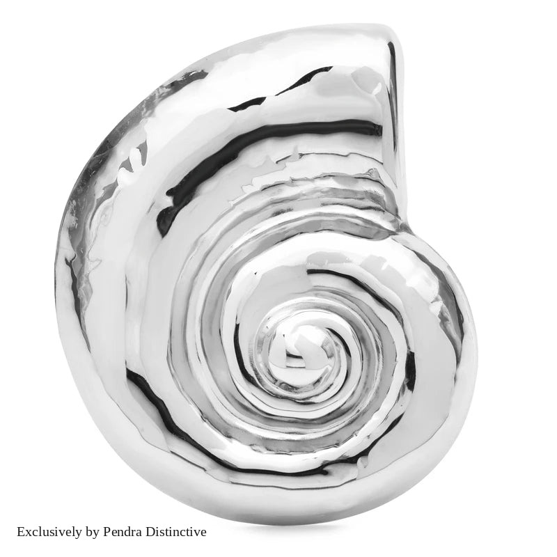 PENDRA Spiral Shell Stainless Steel Brooch