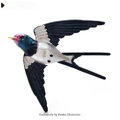 PENDRA Swiftwing Metal Swallow Brooch