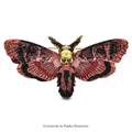 PENDRA Vintage Enamel Butterfly Brooch